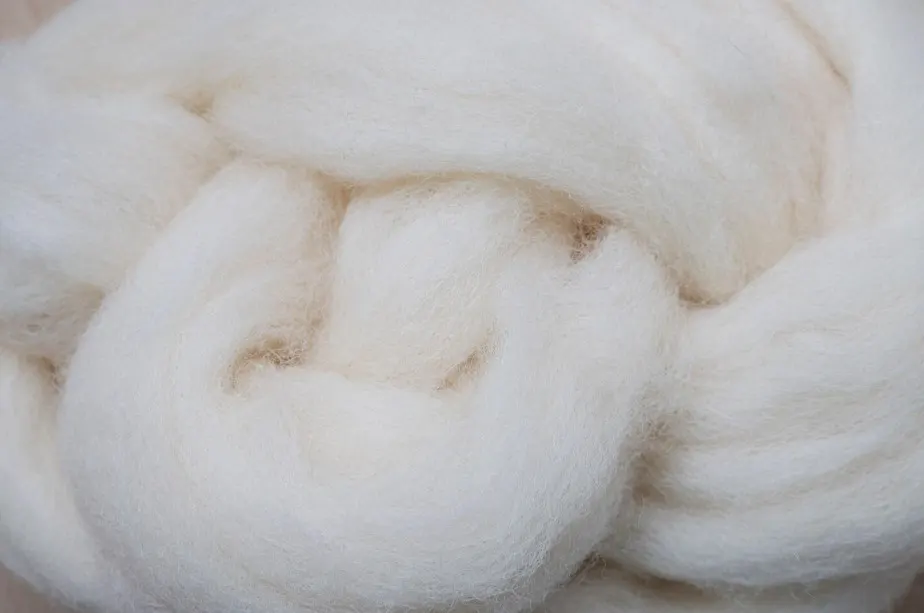Polyester Fiber