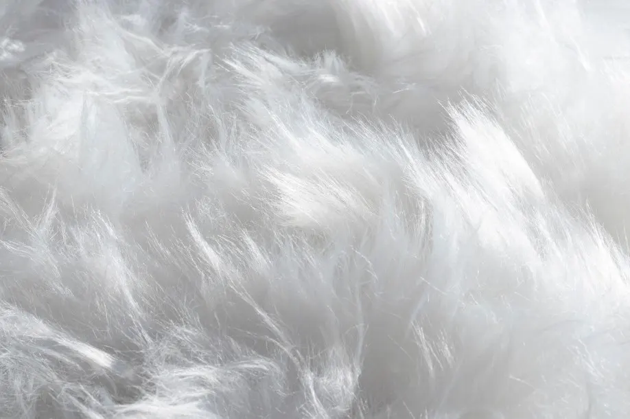 Polyester Fiber